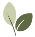 Yuzu Leaf Psychology Logo